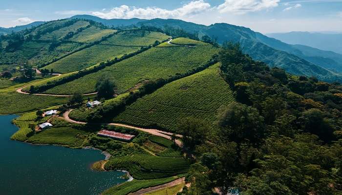 The scenic vista of Megamalai Forest, Munnar