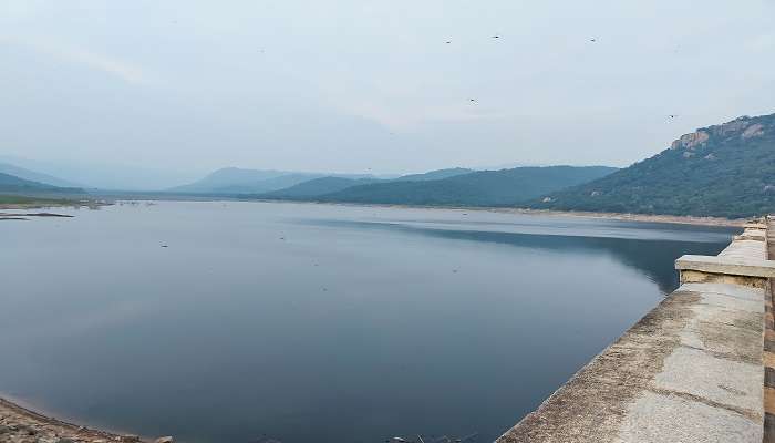 Located across the Swarnamukhi River, Kalyani Dam is undoubtedly one of the best places to visit near Tirupati