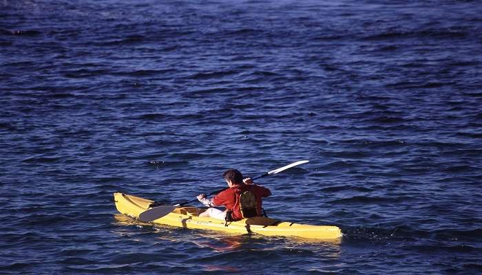 Kayak dans les mangroves