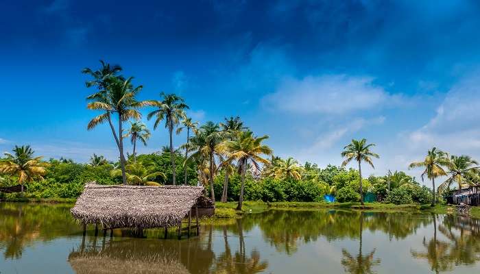 Stop at Kocki during Hyderabad to Kerala road trip.