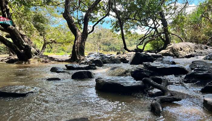 Relax on Kuruva Island, one of the main attractions near Thirunelli Temple Kerala.