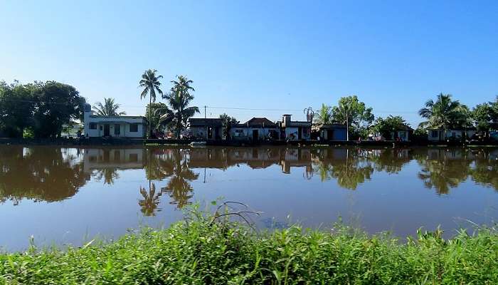 Scenic view of Kuttanad Backwaters
