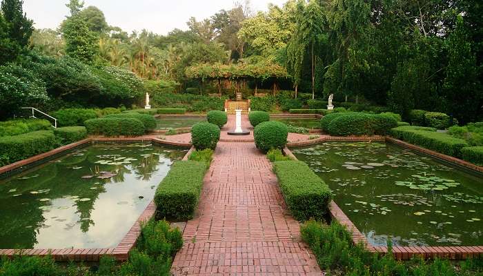 Les jardins botaniques, C’est l’une des meilleurs endroits à visiter à Singapour pour une lune de miel