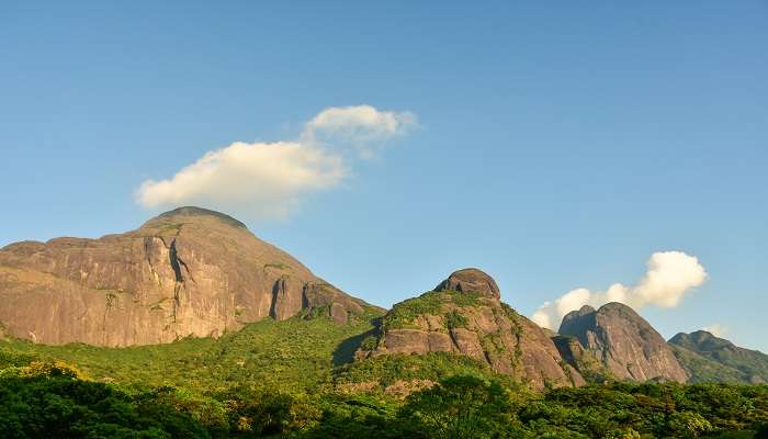 Agasthyakoodam trekking peak