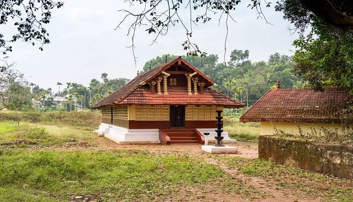 Lush greenery around the mandir in Kerala.