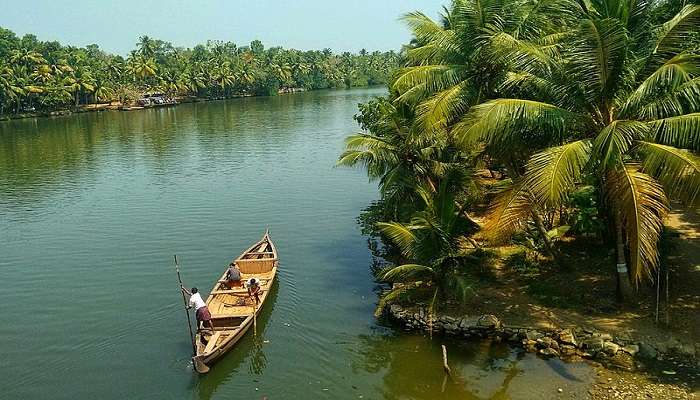 From the stunning Brindavan Gardens to the Bandipur National Park, the Mysore to Kerela road trip has something for everyone