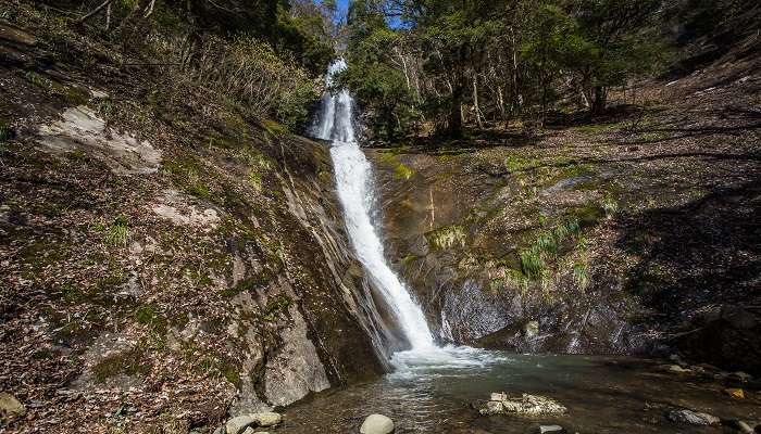 Monkey Falls, a spot to visit during the road trip from Coimbatore to Ooty