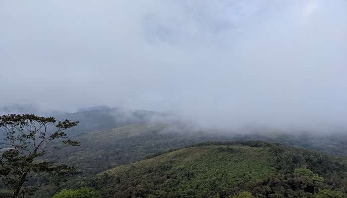 Padagiri gives a bird eye view of the surrounding lush greenery