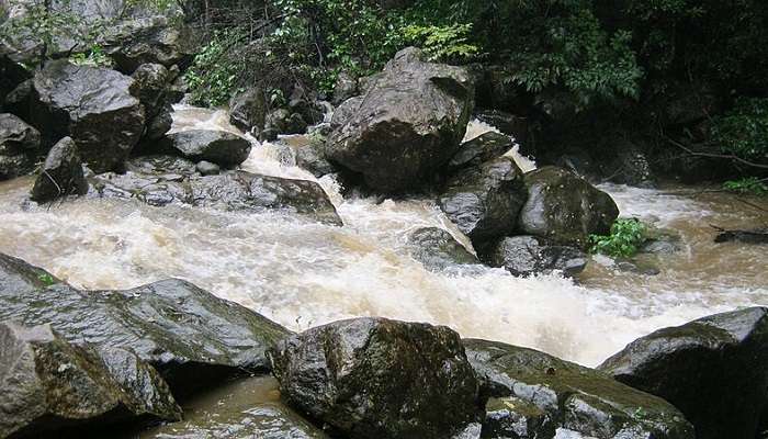 Spend some time at the Palaruvi waterfalls to get breathtaking views.