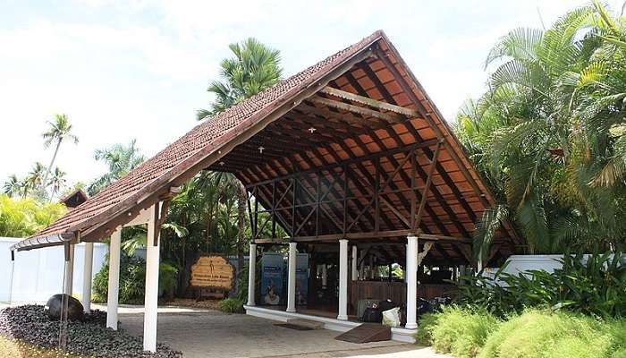 a beautiful entrance of the resort to visit the beautiful place.