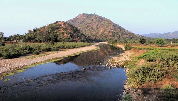 Peaceful view of Polo Forest with dense forest and river, ideal for trekking near Ahmedabad.