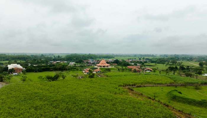  A view of lush green surroundings