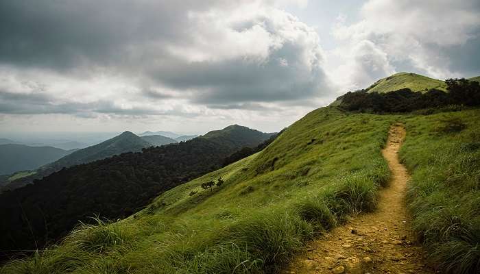 A breathtaking view of the Ranipuram Hills in Ranipuram
