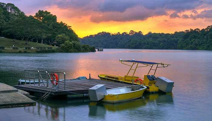 Réservoir MacRitchie, C’est l’une des meilleurs attractions touristiques de Singapour