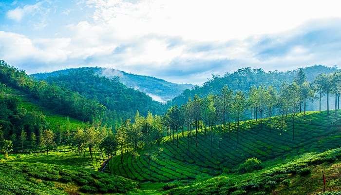 The surreal view of Thekkady during the Munnar to Thekkady road trip.