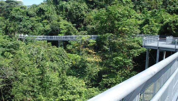 Southern Ridges, C’est l’une des meilleurs choses gratuites à faire à Singapour