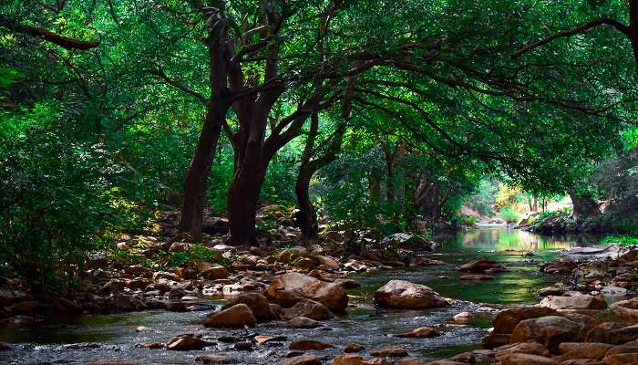 One of the places to visit near Tirupati, Tada Falls is a place of peace and rejuvenation for tourists