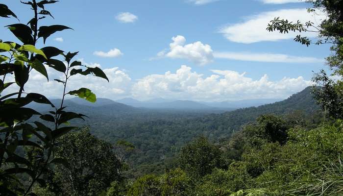 La vue de montagne de Taman-Negara,