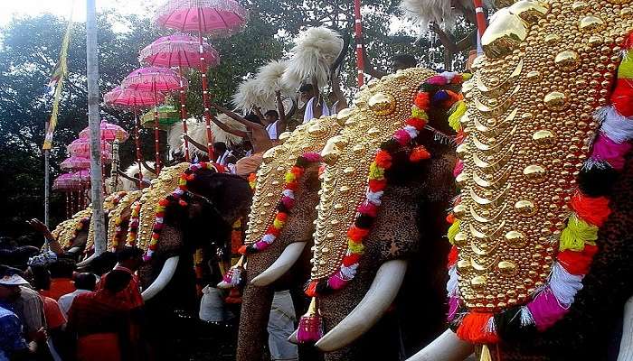 If you want to check out Kerela’s true and unadulterated beauty, Thrissur is definitely worth visiting