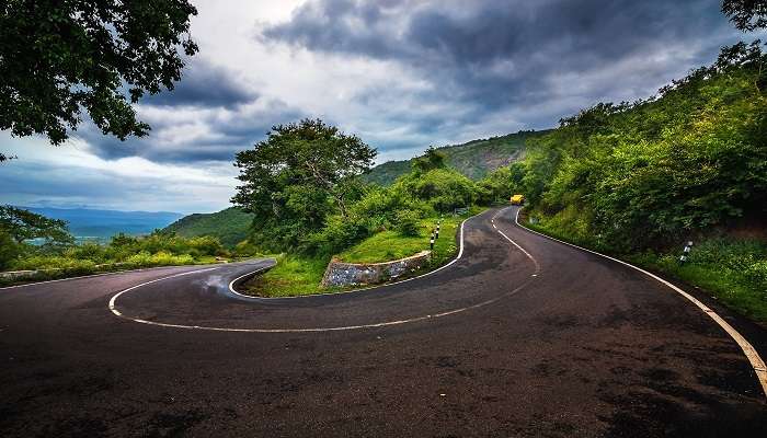 A majestic view of Wayanad