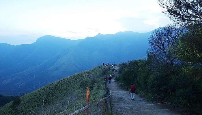 The surreal view of Top Station in Munnar, during Munnar to Thekkady road trip.
