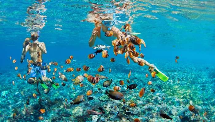 Phuket in August is best for enjoying water sports like snorkelling and other activities.