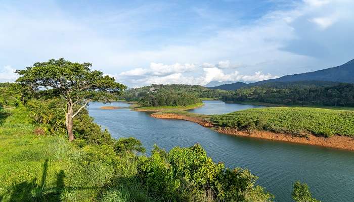 A spectacular view of Wayanad, visit during Ooty to Wayanad road trip