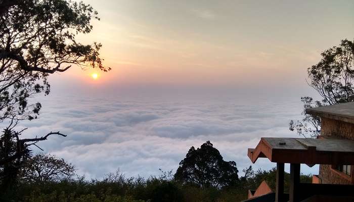 A stretch of Yelagiri Hills land