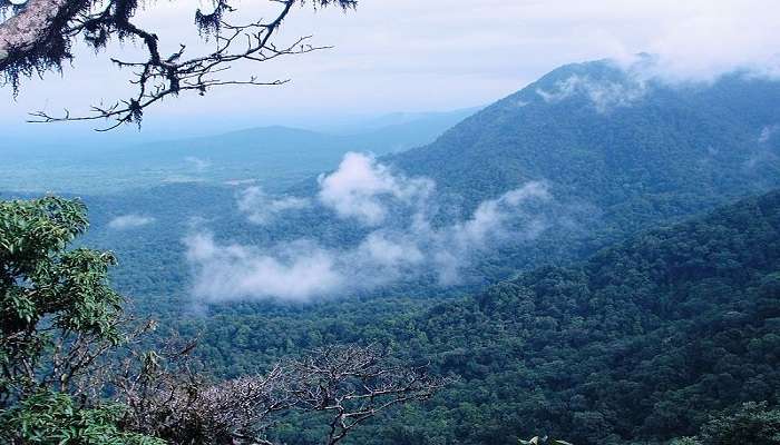 दक्षिण के चेरापूंजी के रूप में भी जाना जाने वाला अगुम्बे अपनी प्राकृतिक सुंदरता के लिए लोकप्रिय है