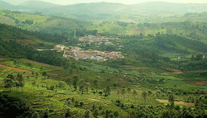 राजसी नीलगिरि पहाड़ों से घिरा एक अनोखा हिल स्टेशन है