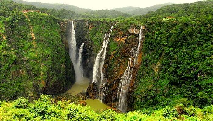 कर्नाटक में घूमने के लिए सबसे अच्छी जगहें में से एक जोग फॉल्स है