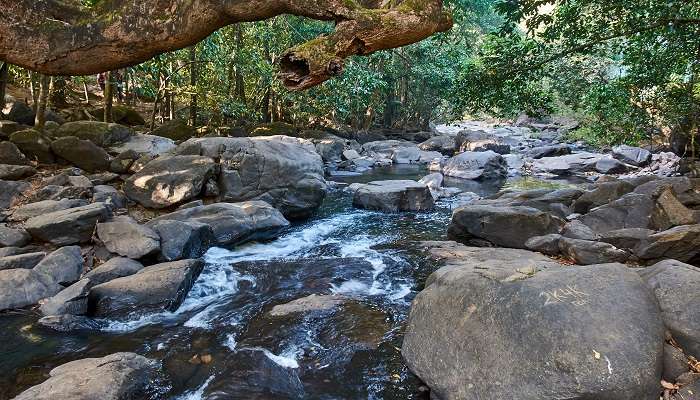 सितंबर में गोवा में करने वाली सबसे अद्भुत मानसून गतिविधियों में से एक है