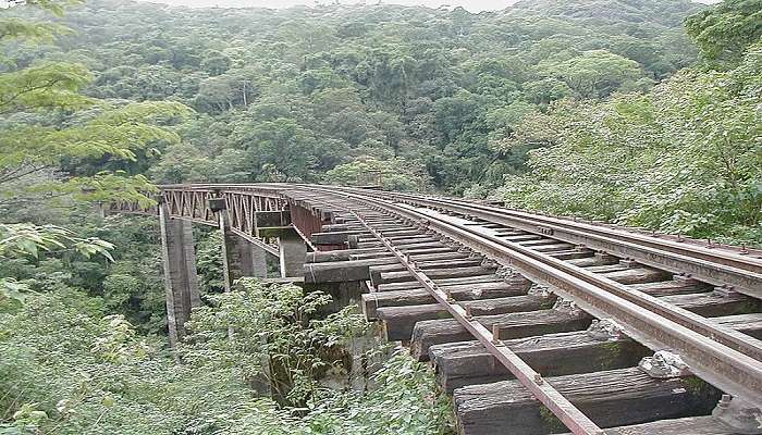 सकलेशपुर कर्नाटक में घूमने के लिए सबसे अच्छी जगहें है