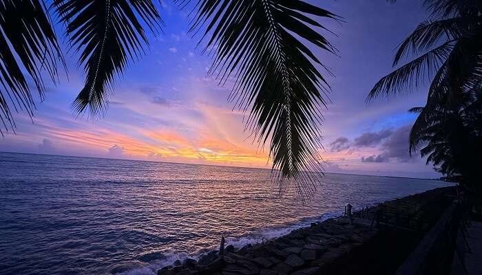 an outside view from the best resorts in india which is 36 palms