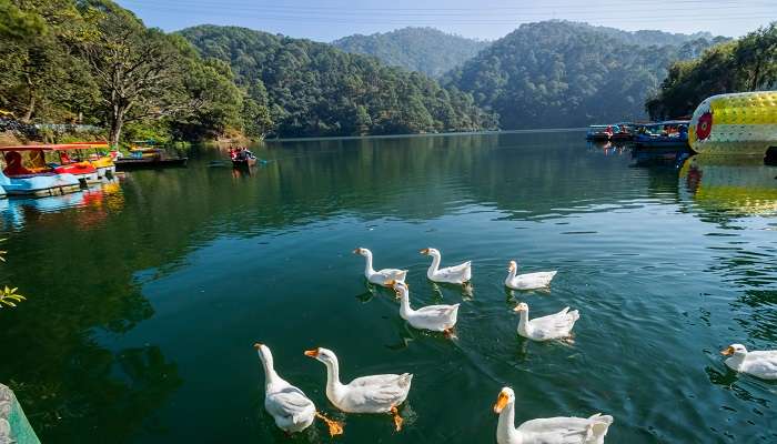 Views from a lake in Jeolikot, Uttarakhand 