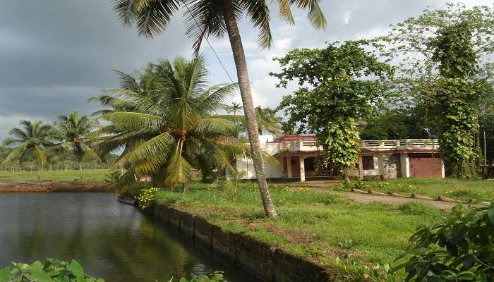 The J yes Farm near The Neendoor Park