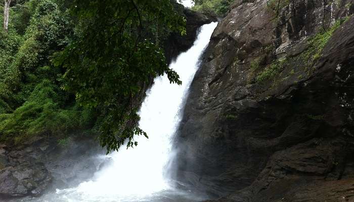 Explore the falls in Kerala