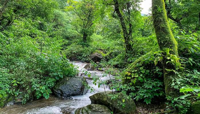  Natural stream in Dhanaulti in January