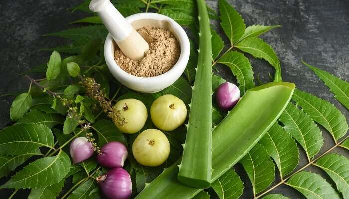 Detoxify yourself with a soothing ayurveda session at Banasura Island Resort.