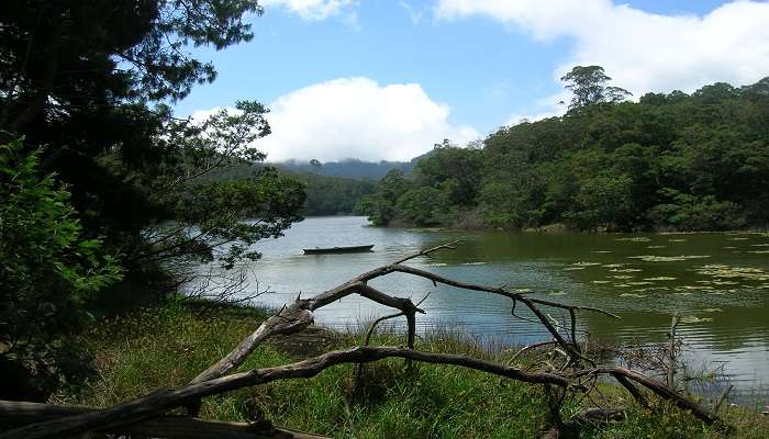 Berijam Lake is just a short drive away from Perumal Peak and definitely worth visit