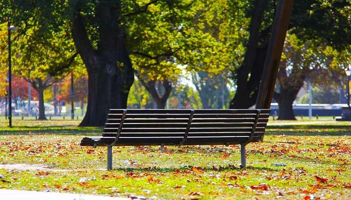  Seat back on the park and watch children playing 