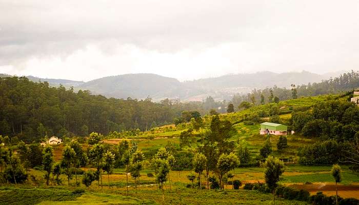 December to February are considered ideal for visiting