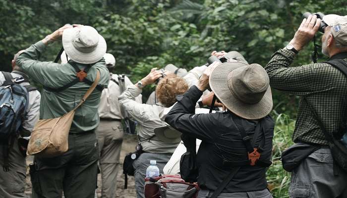 The rich biodiversity of the region attracts a wide range of birds.