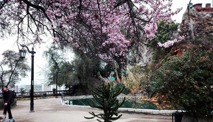 Take a stroll in Blossom Park a relaxing spot 