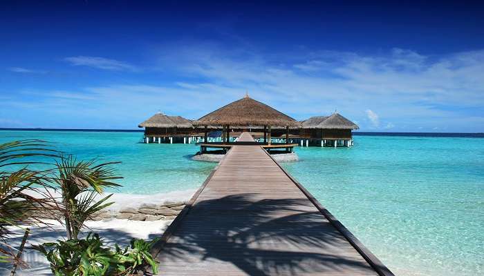 A stunning view of Boche Island Resort