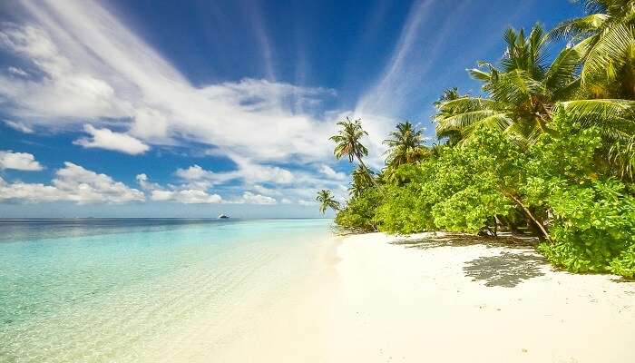 Picturesque view of Cherai Beach, must see destination near 36 Palm Resort Cherai.