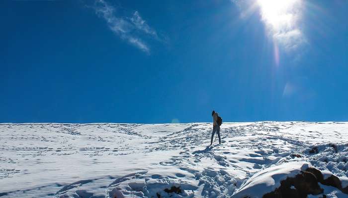 Chopta serves as a midpoint for the 5 Kedars