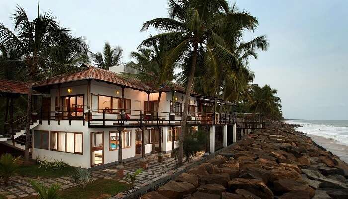 Treat yourself to mouth watering food at 36 Palm Resort Cherai.