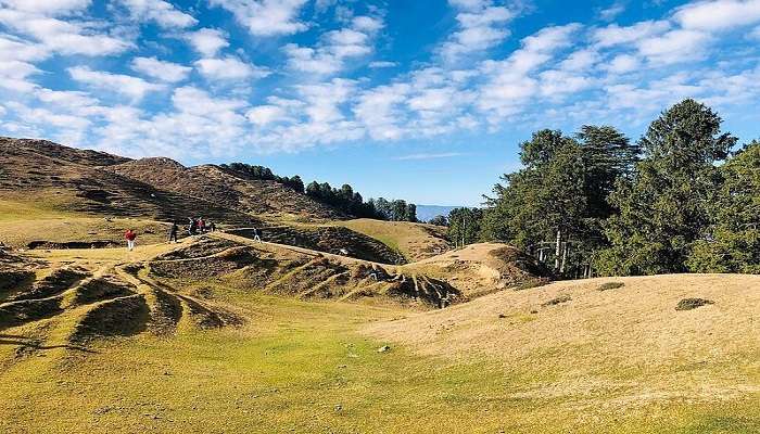 visit deoban in Chakrata in January 