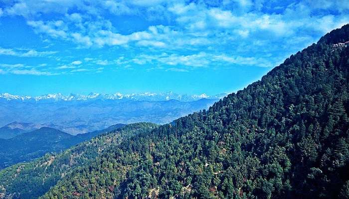 View of Jhibbi village in Himachal